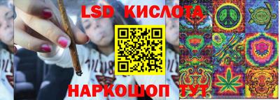 гашик Камышлов