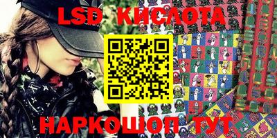гашик Камышлов