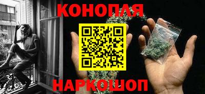 гашик Камышлов