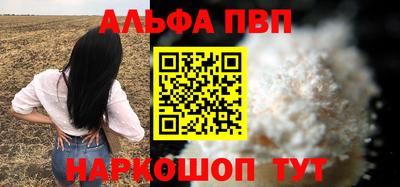 гашик Камышлов